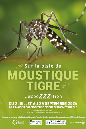 SUR LA PISTE DU MOUSTIQUE TIGRE,  L'EXPOZZZITION !