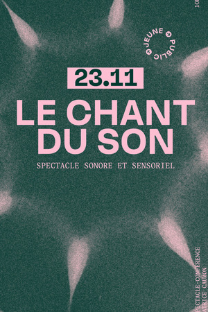 LE CHANT DU SON 