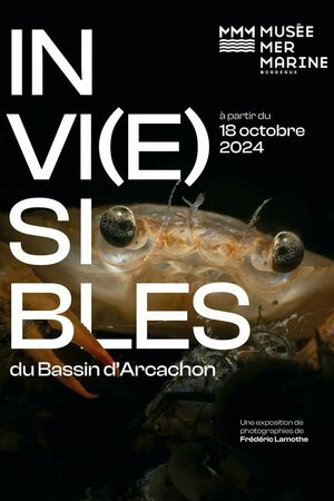 Invi(e)sibles du bassin d'Arcachon