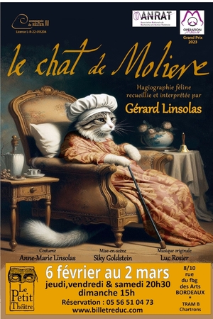 Le chat de Molière