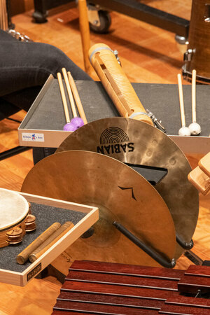 Concerts de percussions